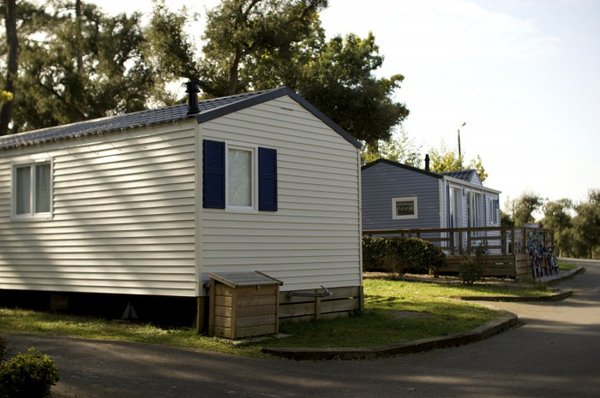 Des expériences de camping inoubliables sur l'île de Ré